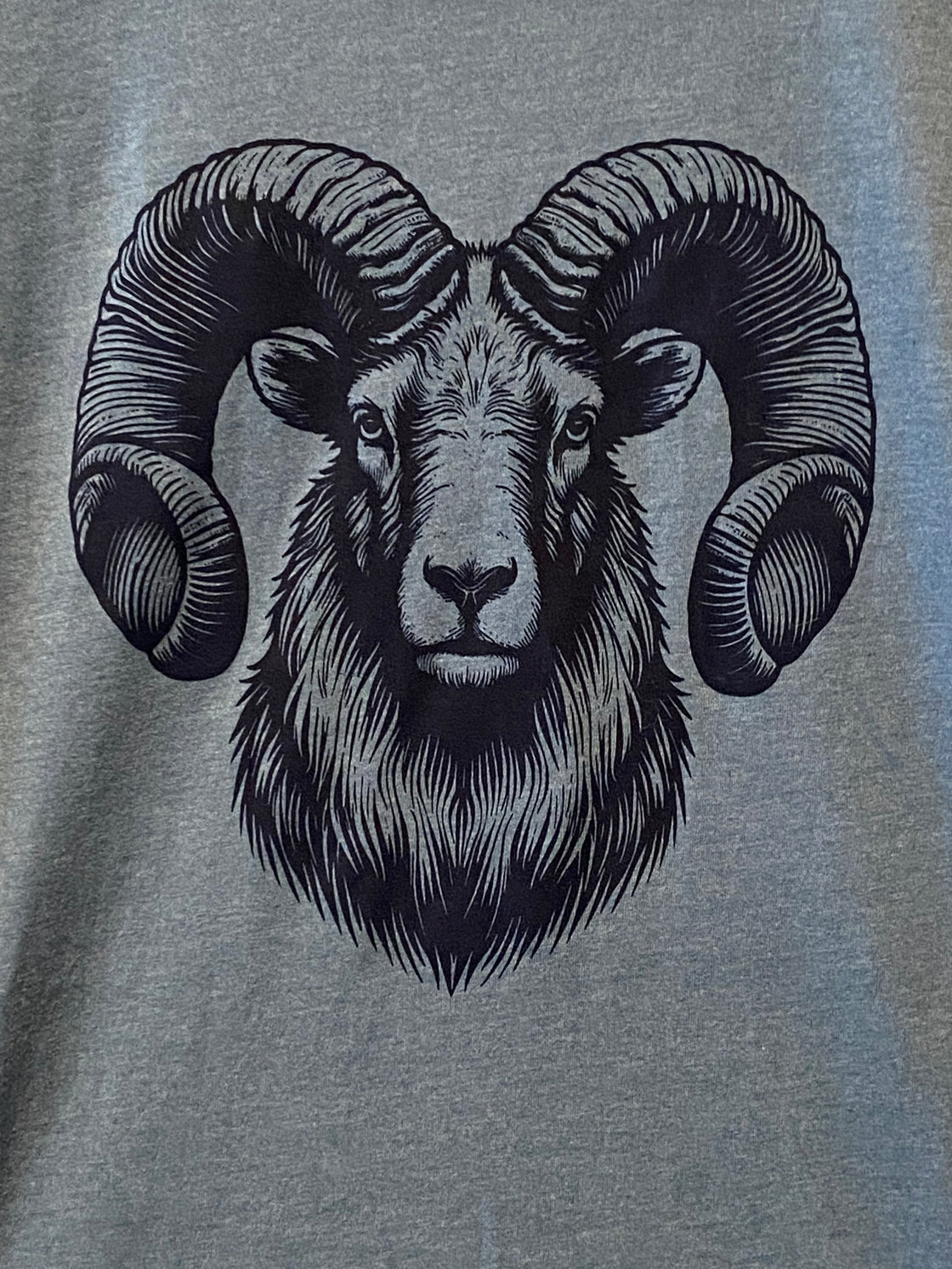 Big Horned Sheep - Slate Blue