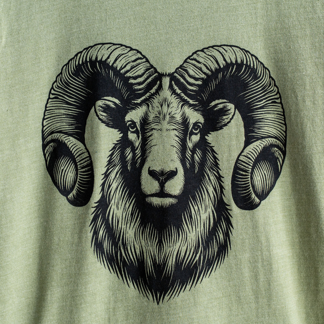 Big Horned Sheep - Heather Green